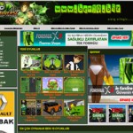 Ben 10 Oyunları